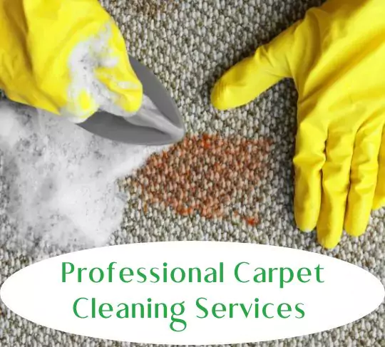 GS Murphy Carpet Cleaning